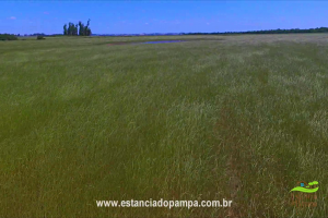 800 Hectares.00_01_06_06.Quadro003_7a73162be49307585c9d0ff3771b81e2483fb142.png